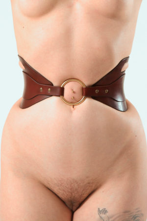 Waist harness