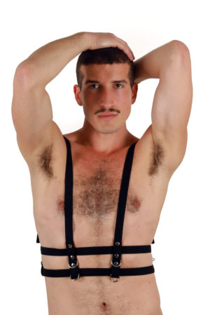 Gui Harness