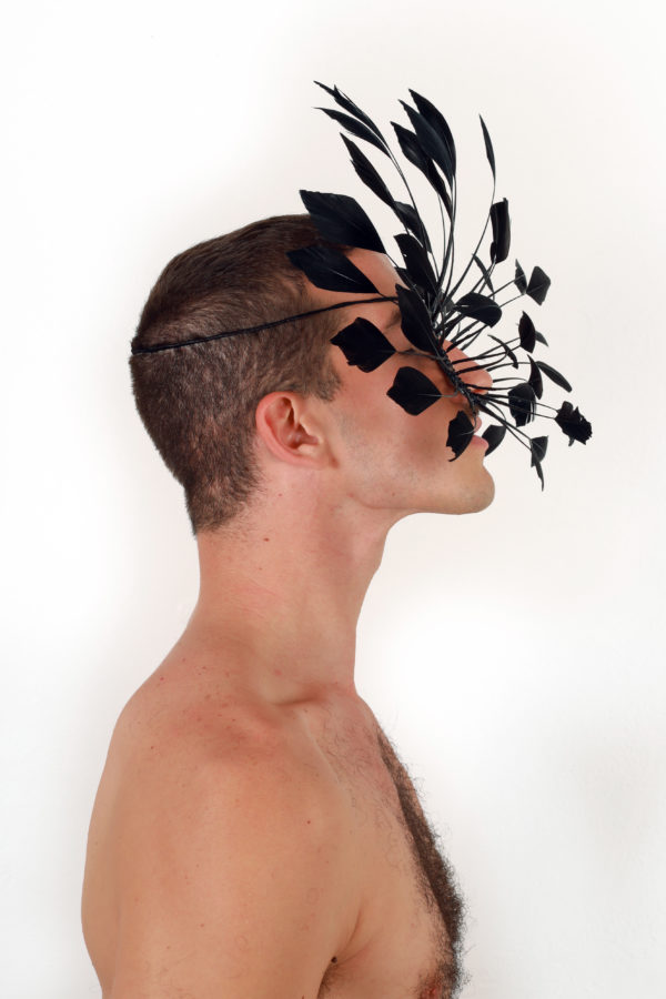 Feather Dream